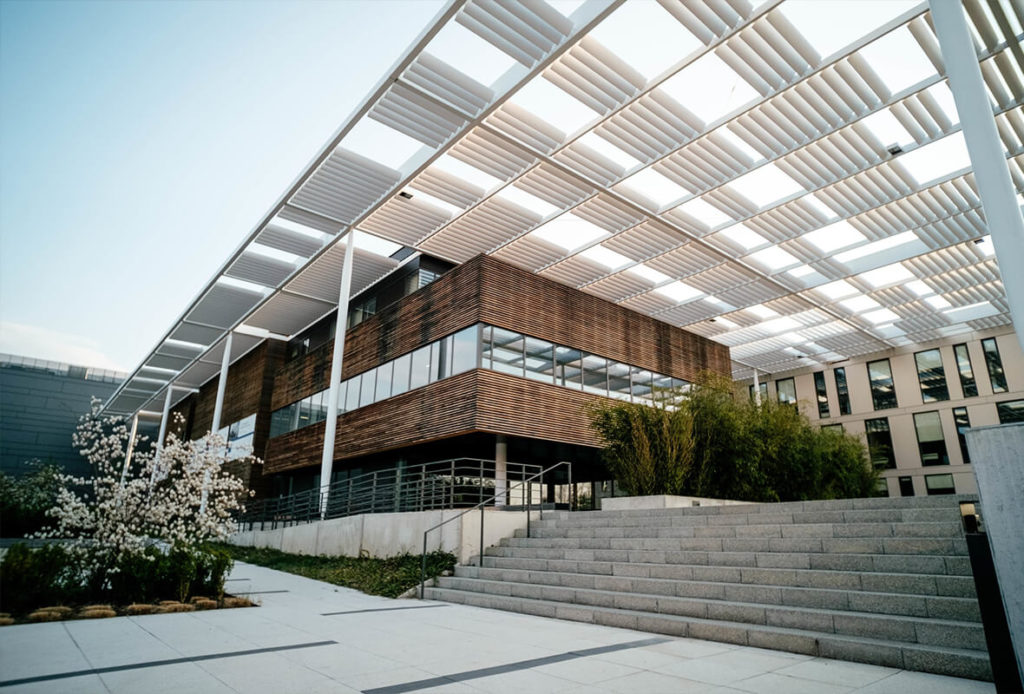 1xBet Free Bet – How to Claim Your Free Bet Offer